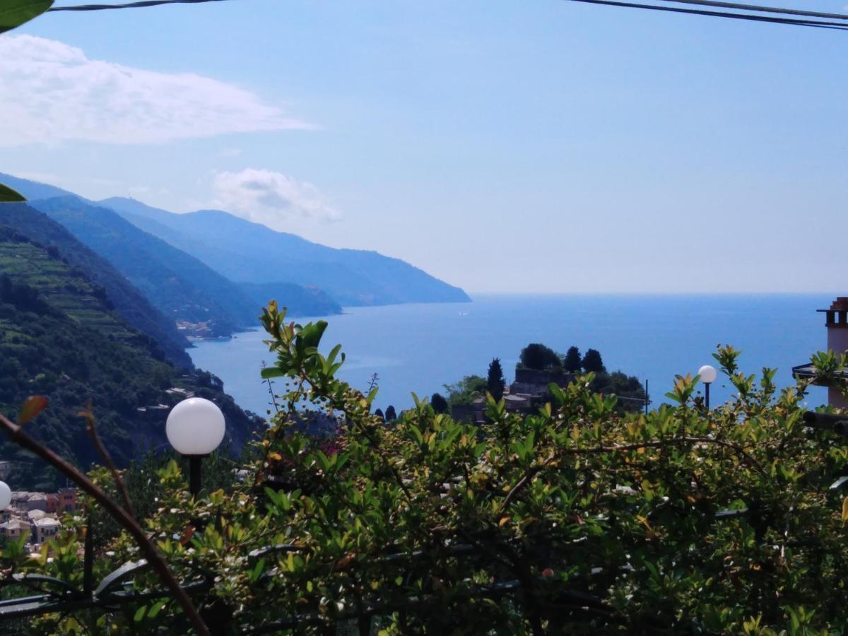 La Cabana Cinque Terre Monterosso Monterosso al Mare Extérieur photo